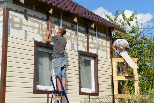 Best Custom Siding Design  in Carrollwood, FL