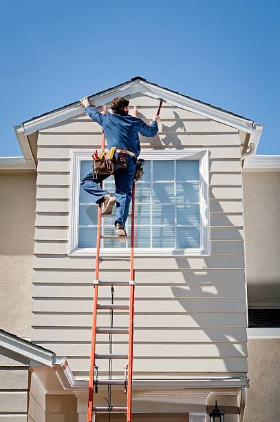 Affordable Siding Repair and Maintenance Services in Carrollwood, FL