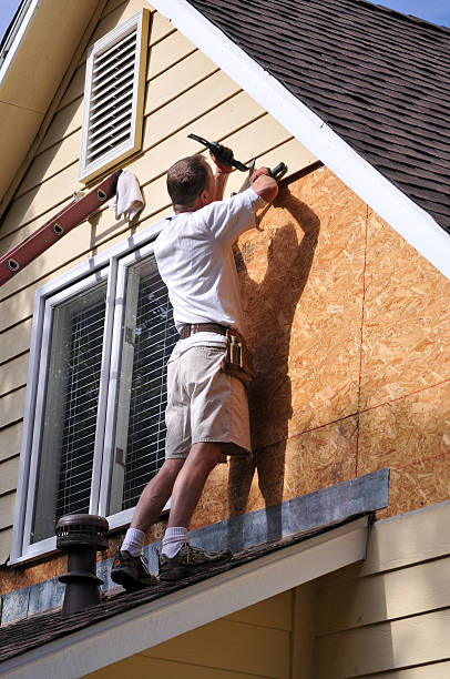 Siding Removal and Disposal in Carrollwood, FL